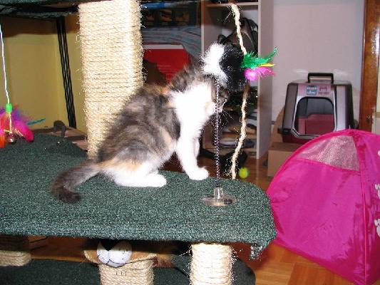 New Brunswick 2004 032.jpg